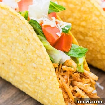 One-Pot Shredded Chicken Tacos Recipe for Quick Weeknights 6 Easy Shredded Chicken Tacos Recipe