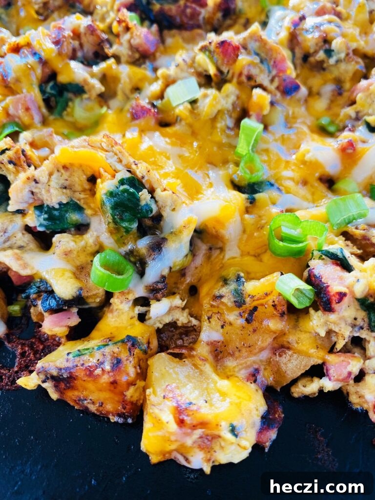 Holiday Recipes for Your Blackstone Griddle: Festive Griddle Meals 5 Blackstone Potatoes Ham and Eggs
