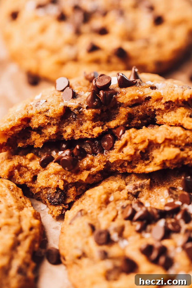 Pumpkin Oatmeal Chocolate Chip Cookies Recipe for Fall Baking 11 Cookie close-up