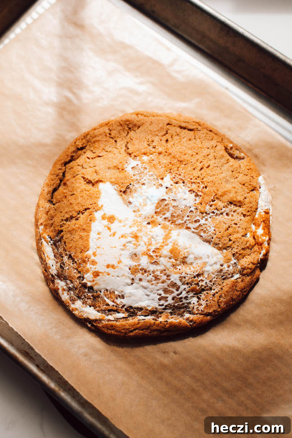 Pumpkin Oatmeal Chocolate Chip Cookies Recipe for Fall Baking 14 Pumpkin Marshmallow Single Serve Cookie