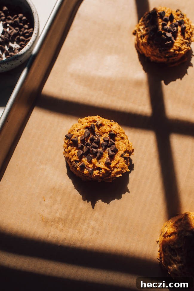 Pumpkin Oatmeal Chocolate Chip Cookies Recipe for Fall Baking 9 Cookies with chocolate