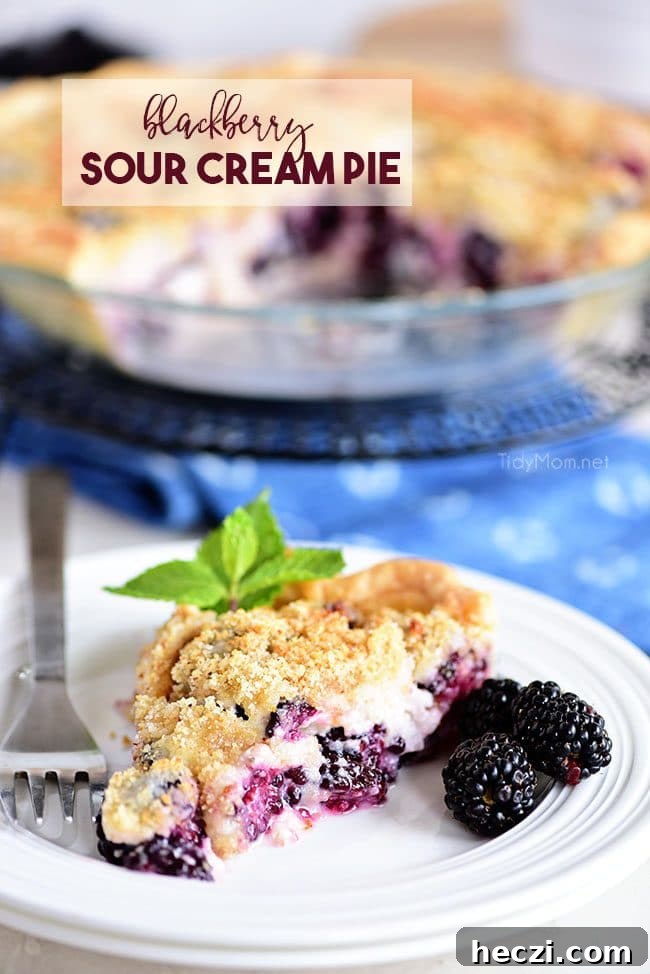 Blackberry Sour Cream Pie Recipe — Creamy Fruit Dessert Guide 2 Blackberry Sour Cream Pie with sweet juicy blackberries and a crumble topping on a plate