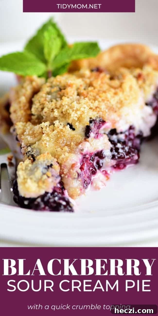 Blackberry Sour Cream Pie Recipe — Creamy Fruit Dessert Guide 11 slice of blackberry pie with fresh mint garnish