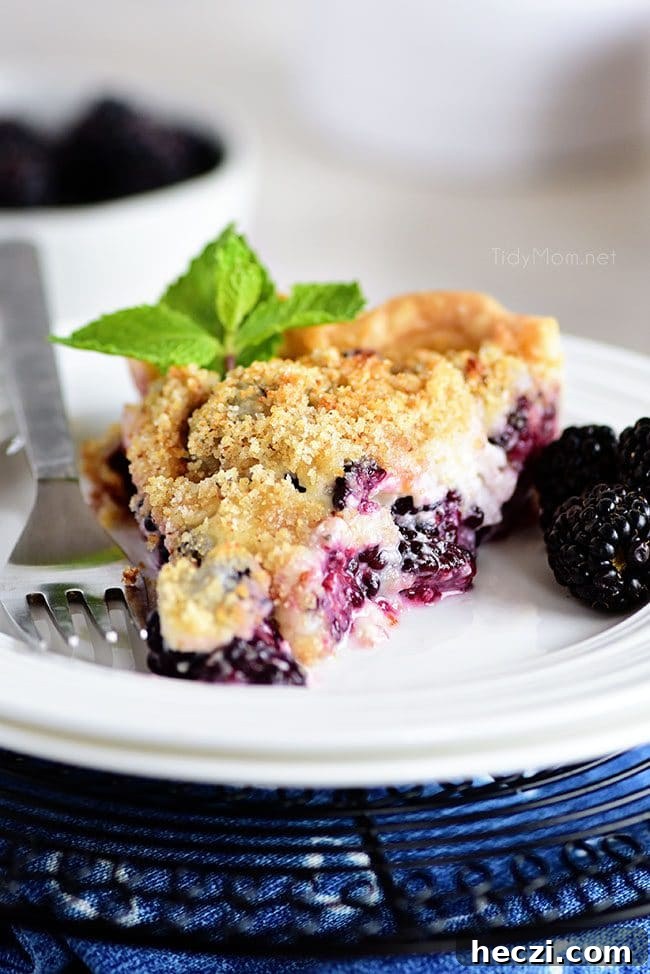Blackberry Sour Cream Pie Recipe — Creamy Fruit Dessert Guide 3 A serving of Blackberry Sour Cream Pie on a plate with a fork