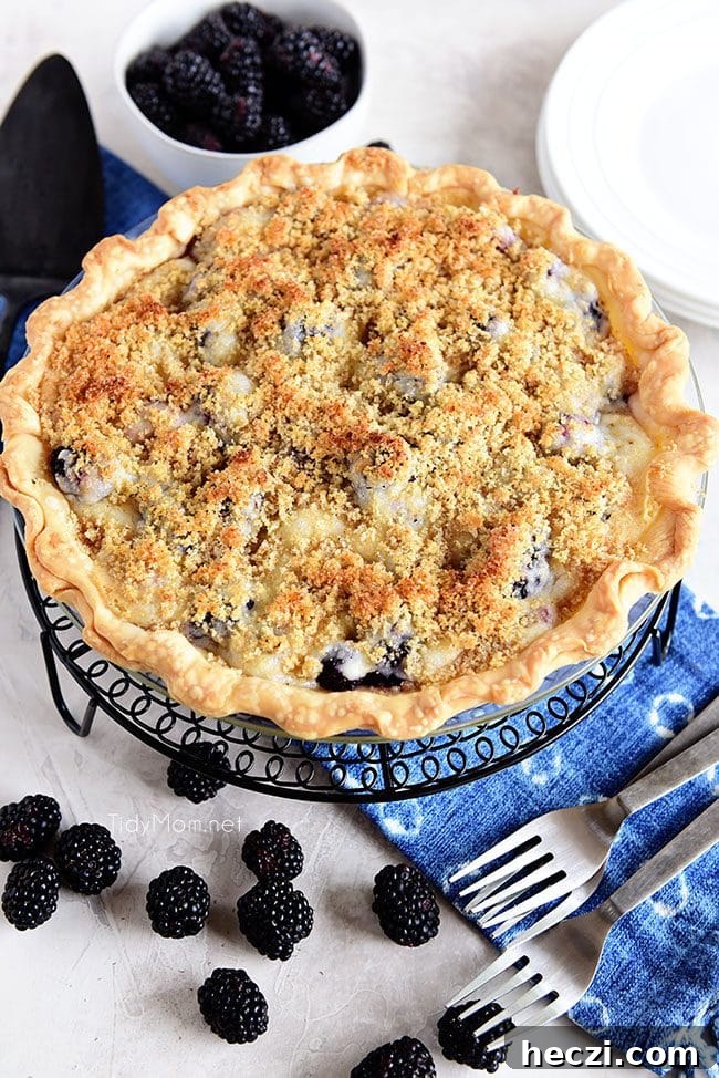 Blackberry Sour Cream Pie Recipe — Creamy Fruit Dessert Guide 4 A whole Blackberry Sour Cream Pie