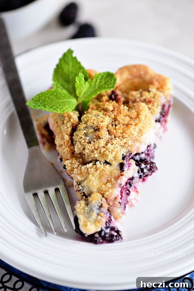 Blackberry Sour Cream Pie Recipe — Creamy Fruit Dessert Guide 6 A piece of Blackberry Sour Cream Pie with sweet juicy blackberries and a crumble topping