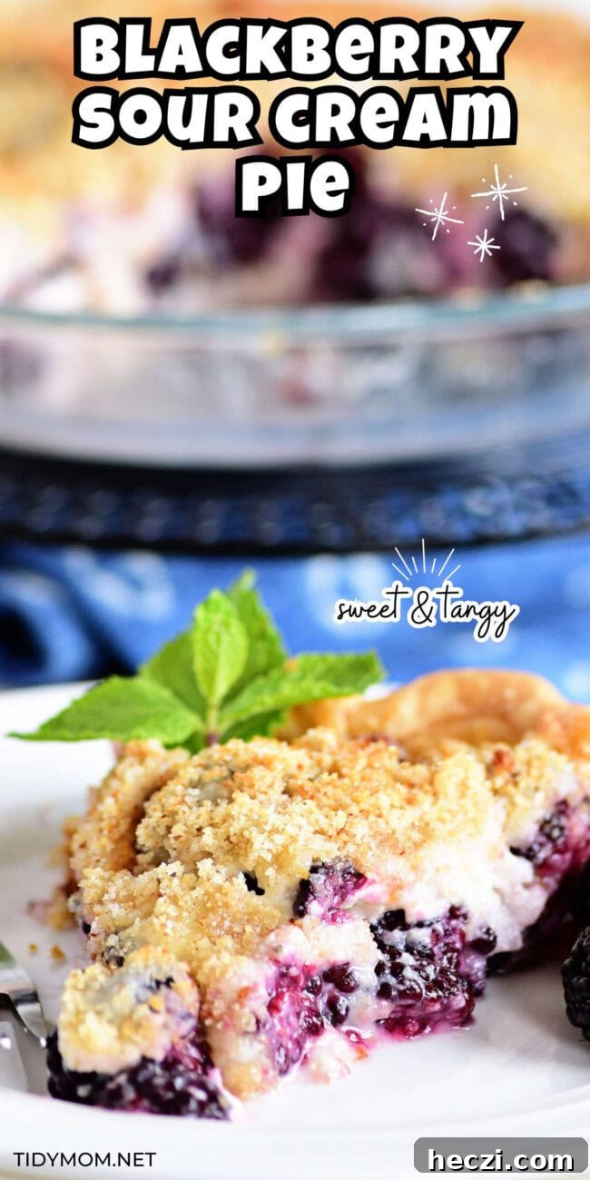 Blackberry Sour Cream Pie Recipe — Creamy Fruit Dessert Guide 8 slice of creamy blackberry pie