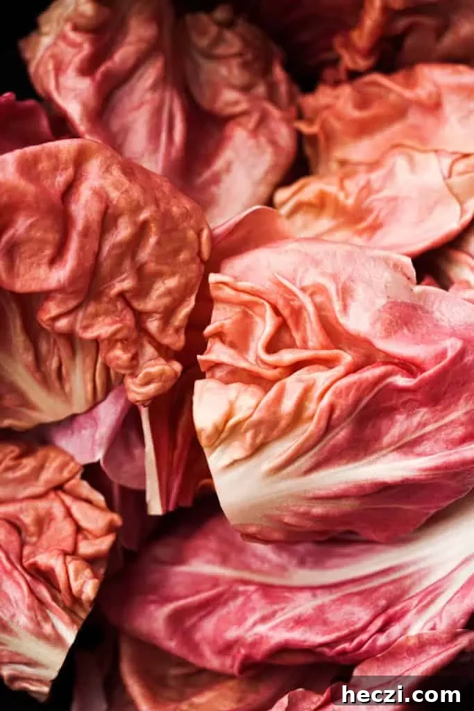 radicchio closeup