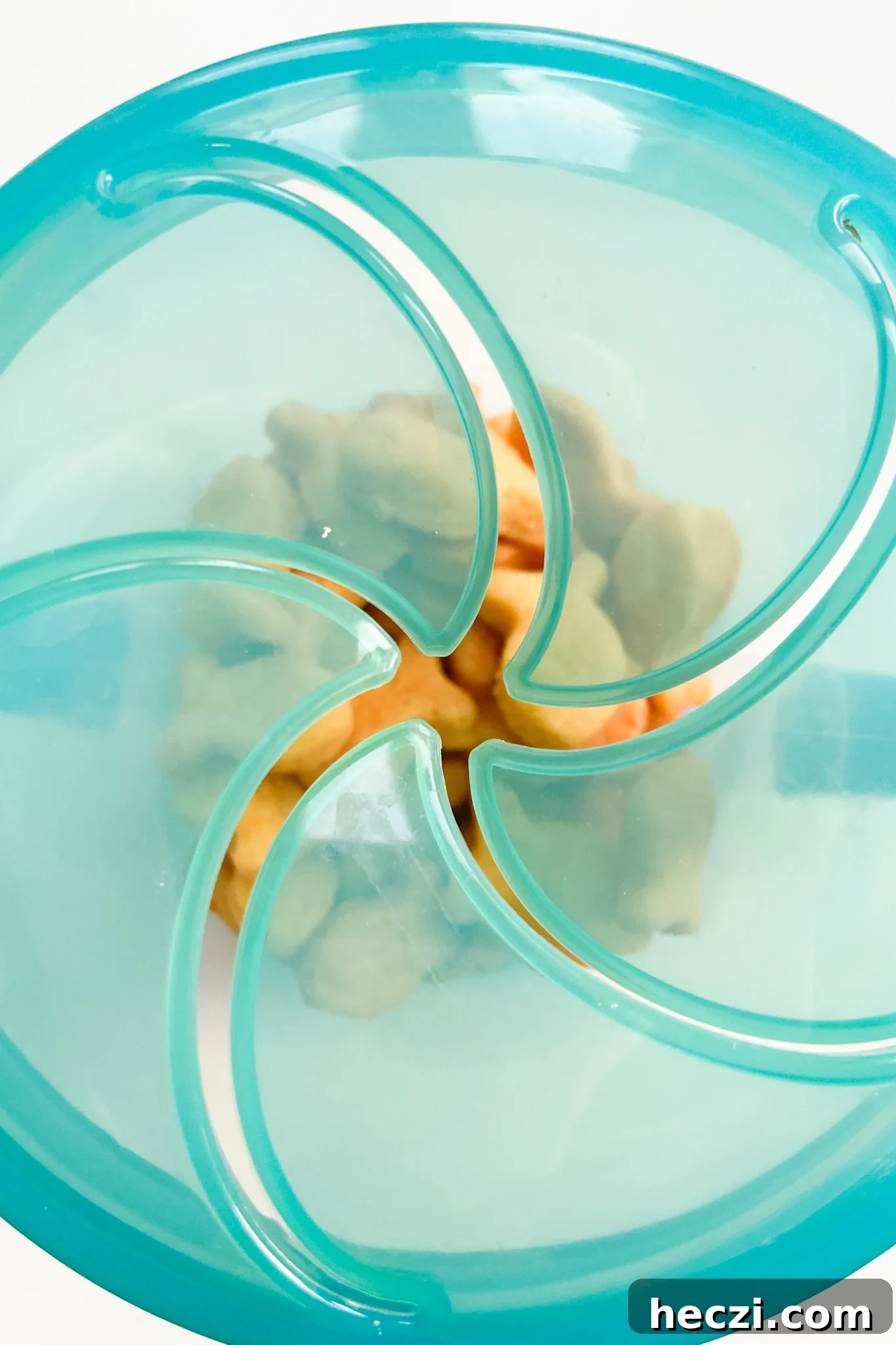 Homemade Baked Goldfish Crackers Recipe for Kids 8 img 5024 7