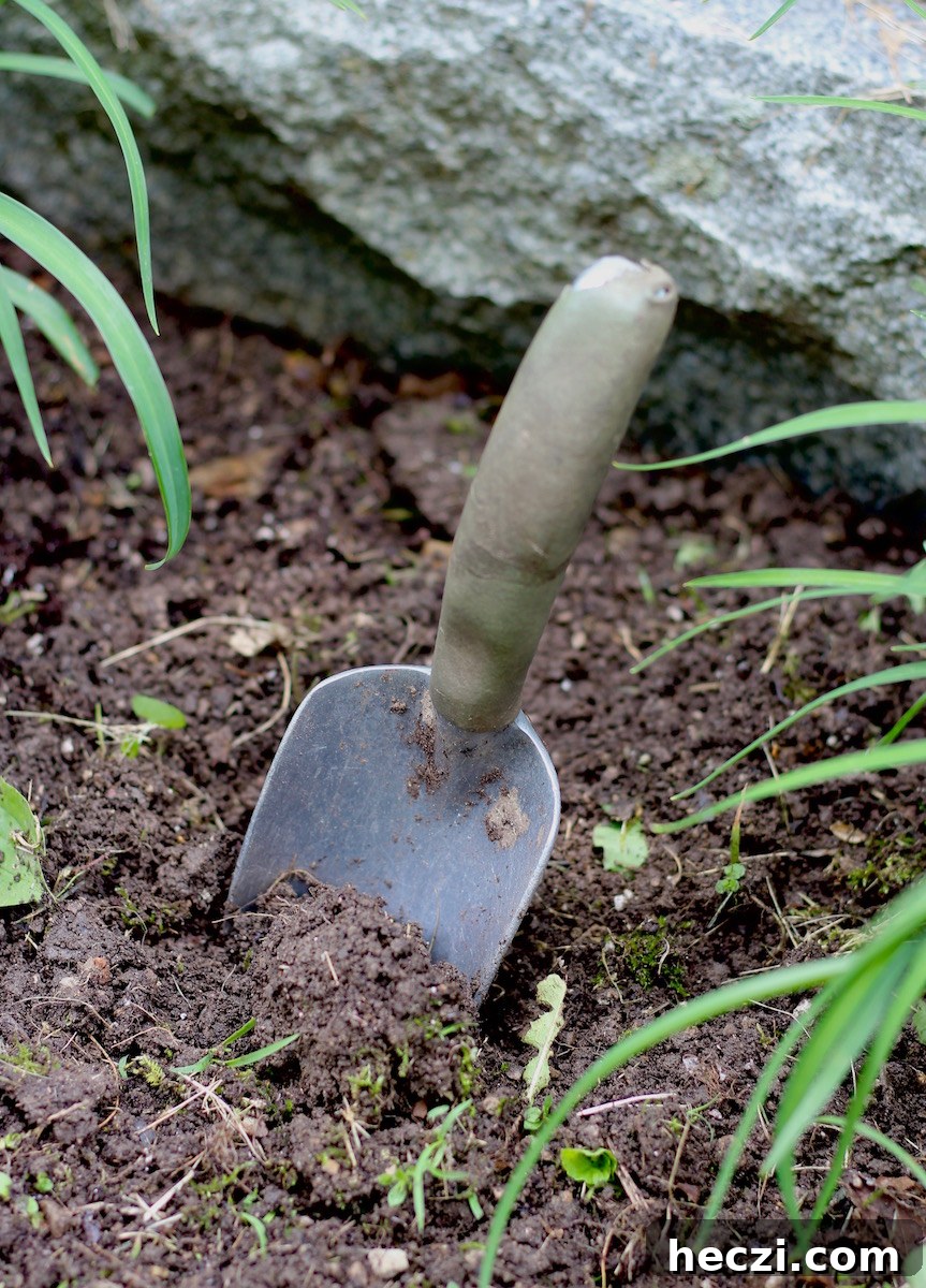Dig Deep, Hold Fast, Take Heart: Finding Strength in Hard Times 3 Dig Deep, Hold On, Take Heart - how to search for answers, have perseverance, and maintain hope while on a health journey | fedandfulfilled.com