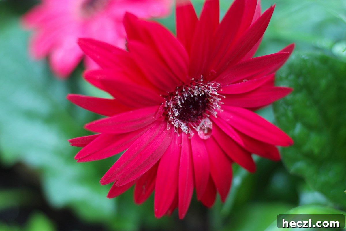 Dig Deep, Hold Fast, Take Heart: Finding Strength in Hard Times 5 Dig Deep, Hold On, Take Heart - hope for anyone in a season of trials and health affliction | fedandfulfilled.com