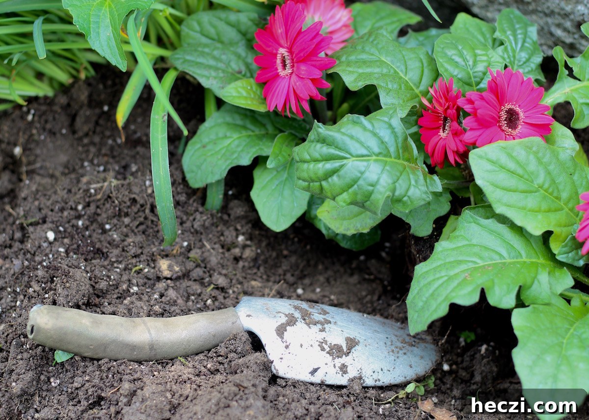 Dig Deep, Hold Fast, Take Heart: Finding Strength in Hard Times 6 Dig Deep, Hold On, Take Heart - a post of encouragement in the midst of health struggles with Lyme disease and mold toxicity | fedandfulfilled.com