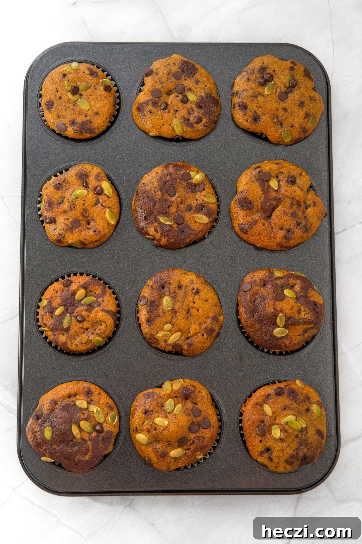 Freshly baked muffins in muffin pan