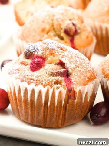 Up close shot of cranberry orange muffins on plate