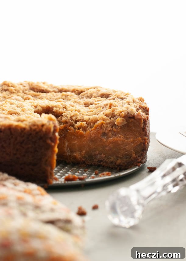 Gluten-Free Vegan Pumpkin Crumble Pie Recipe for Fall Baking 5 dairy free pumpkin crumble pie