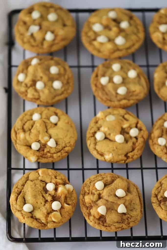 White Chocolate Chip Pumpkin Cookies: Soft Fall Cookie Recipe 3 pumpkin cookies with white chocolate chips, white chocolate pumpkin cookies, chewy pumpkin cookies.