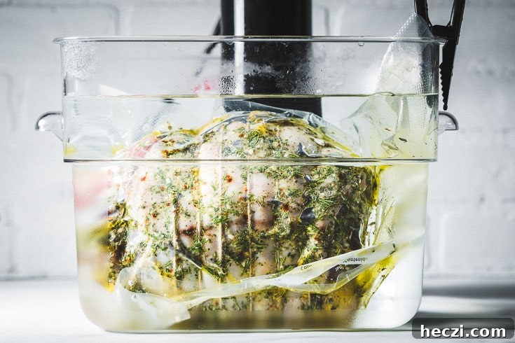 leg of lamb in sous vide horizontal