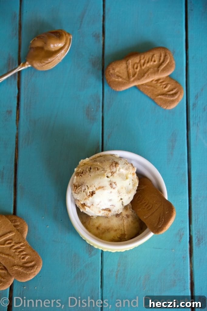 Biscoff Ice Cream biscoff ice cream in a bowl