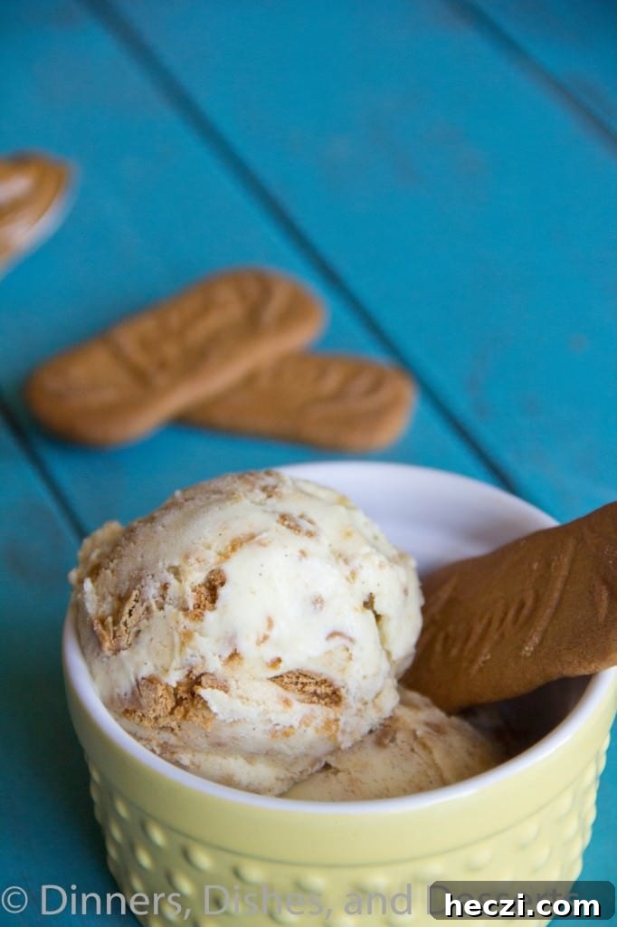 Biscoff Ice Cream biscoff ice cream in a bowl
