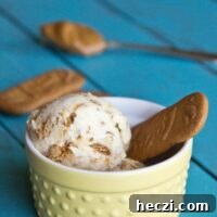 Biscoff Cookie Butter Ice Cream Recipe — Creamy Lotus Spread Gelato 3 biscoff ice cream in a bowl