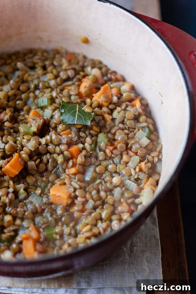 Lentil Soup