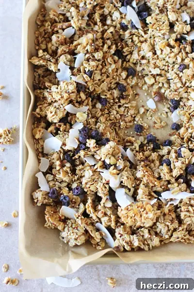 Lemon Blueberry Quinoa Granola A parchment lined baking sheet filled with Quinoa Granola.