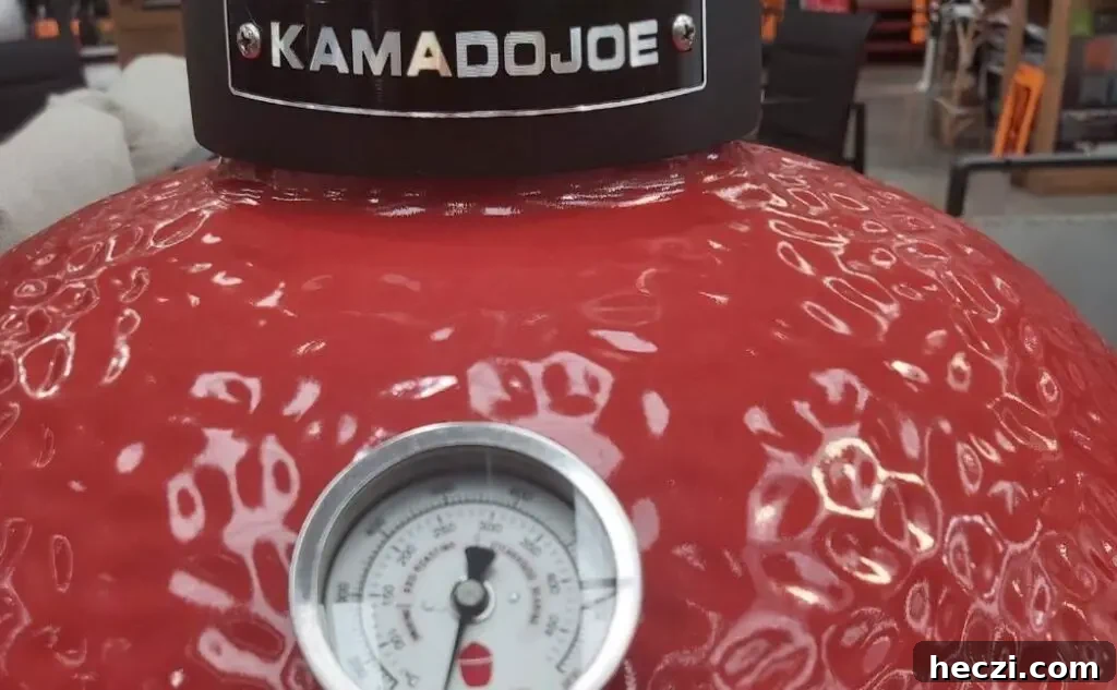 Ceramic Kamado Grills & Egg Smokers: Complete Buying and Use Guide 4 img 591 3