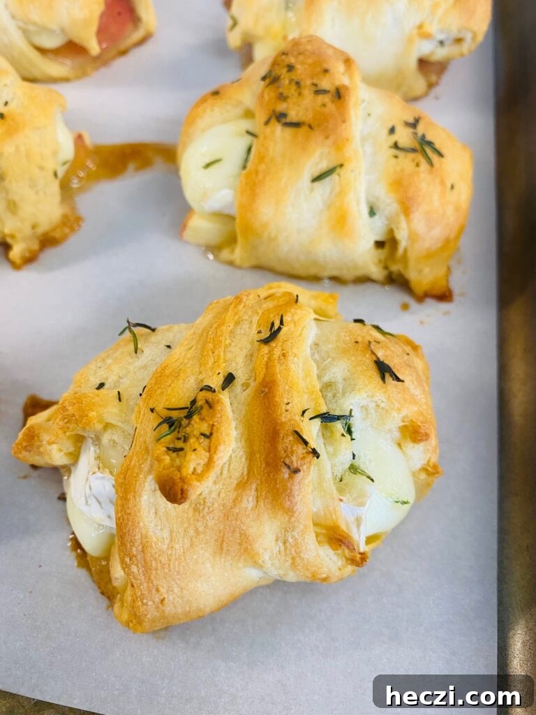 Crispy Apple and Brie Roll-Ups with Honey Dijon Dip 7 Apple Brie Roll Ups