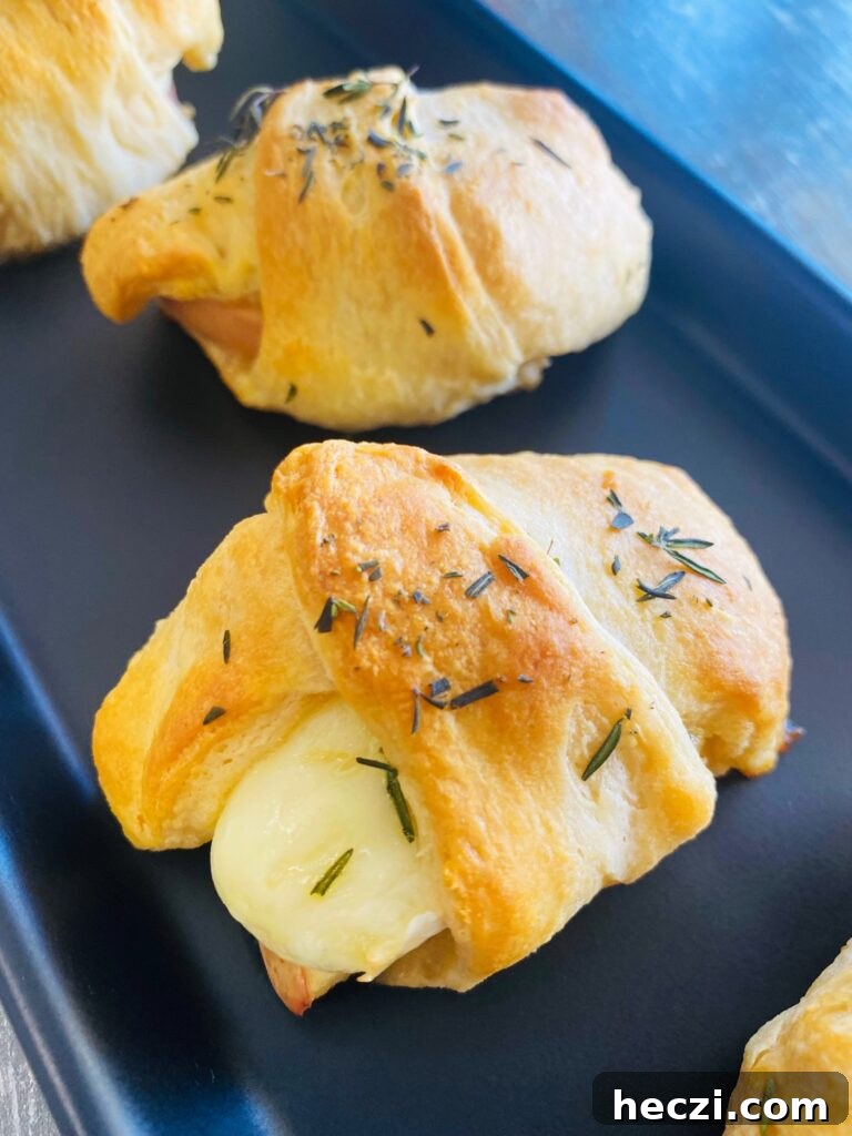 Crispy Apple and Brie Roll-Ups with Honey Dijon Dip 9 Apple Brie Roll Ups
