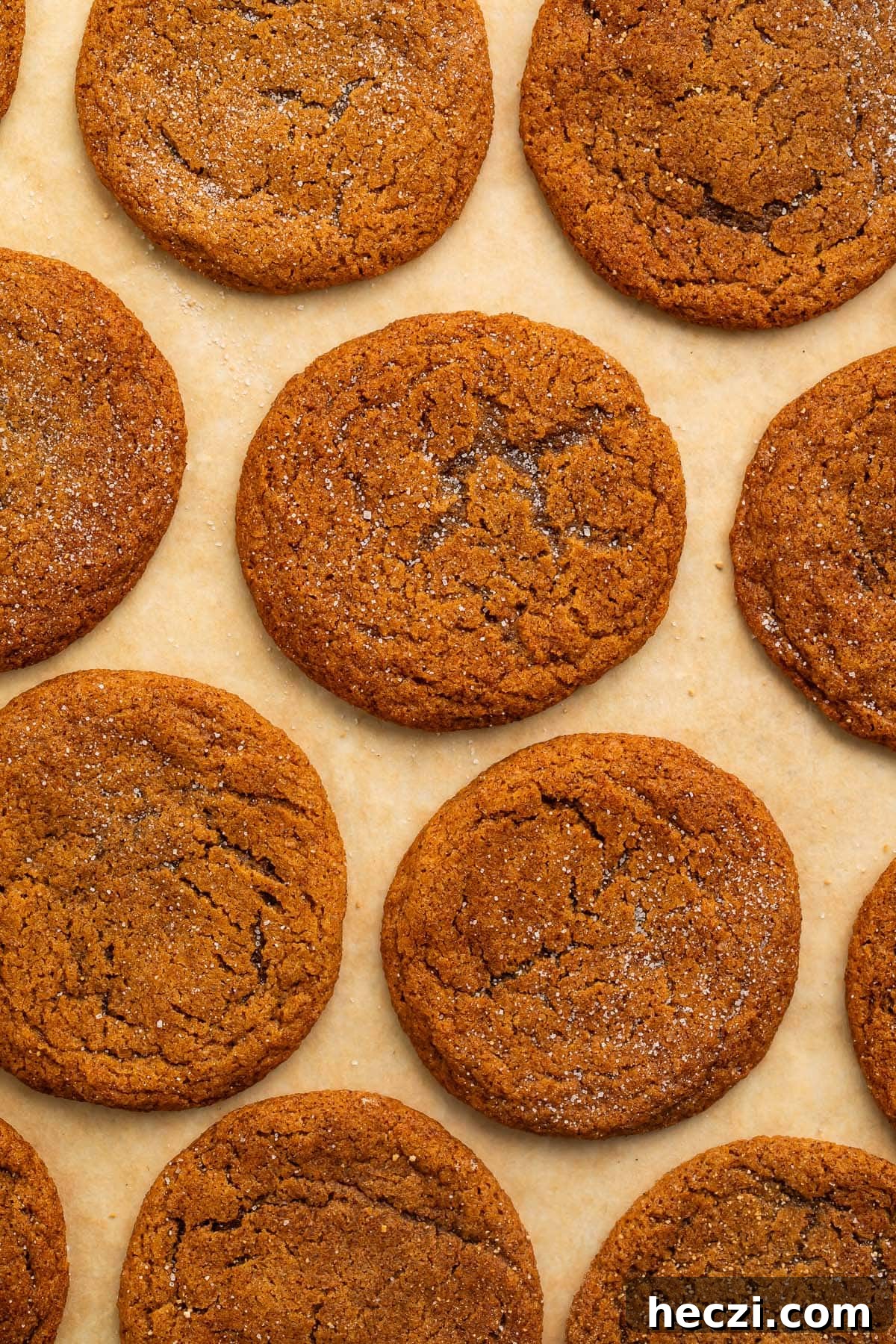 Gluten free ginger snap cookies arranged evenly on a sheet of parchment paper. 