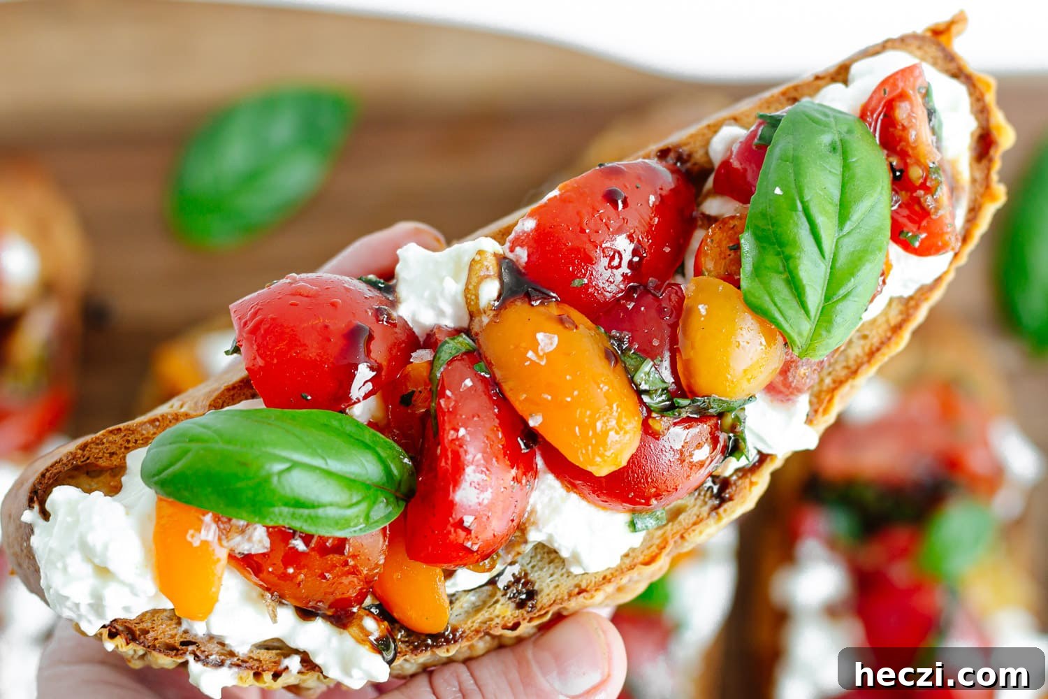 Hand holding burrata toast with tomato basil topping.