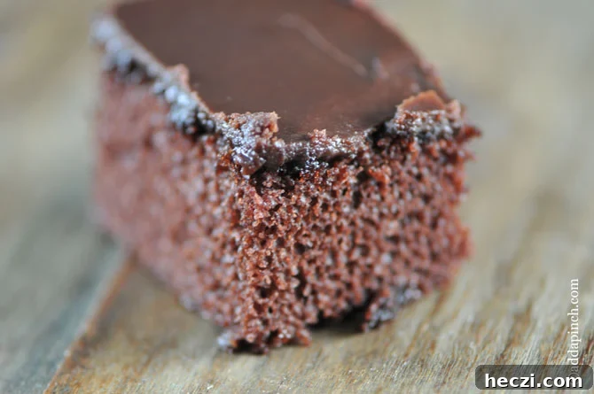 Ultimate Chocolate Cake with Fudge Icing Recipe 3 The Best Chocolate Cake with Fudge Icing | ©addapinch.com