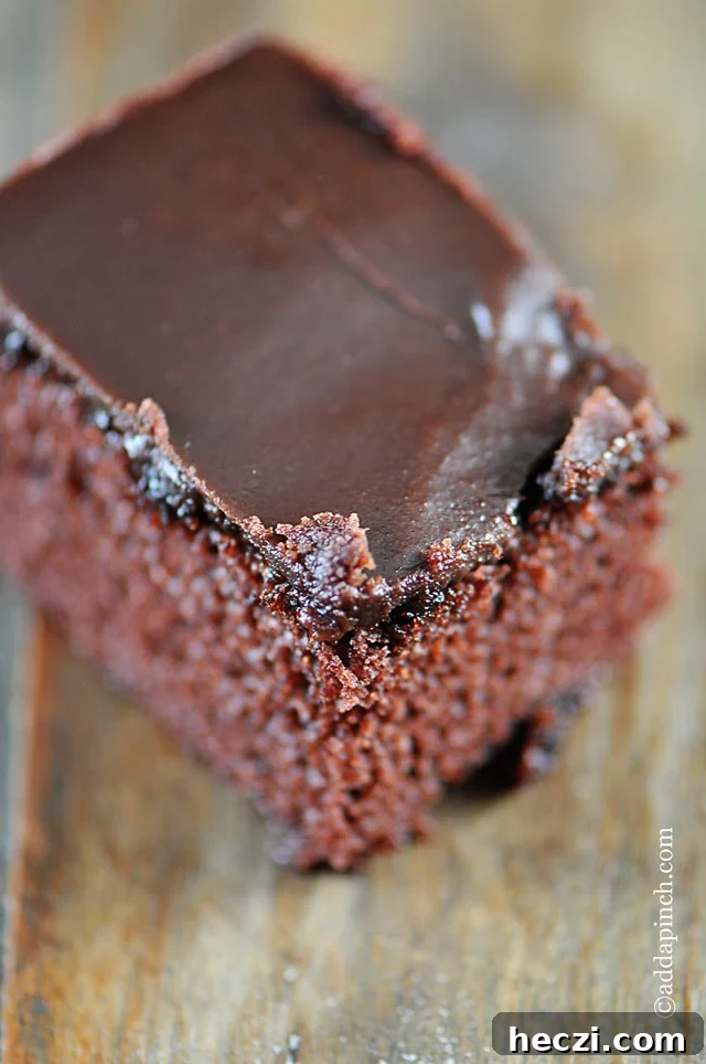 Ultimate Chocolate Cake with Fudge Icing Recipe 4 The Best Chocolate Cake with Fudge Icing | ©addapinch.com
