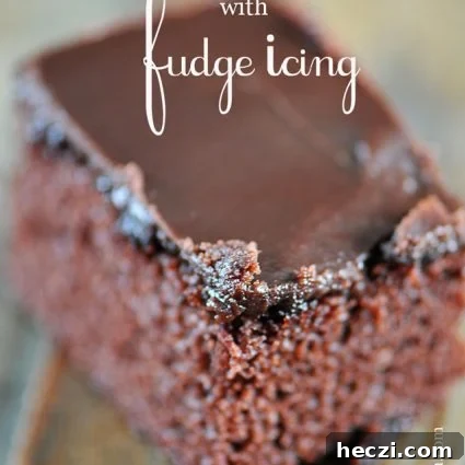 Ultimate Chocolate Cake with Fudge Icing Recipe 5 img 6313 4