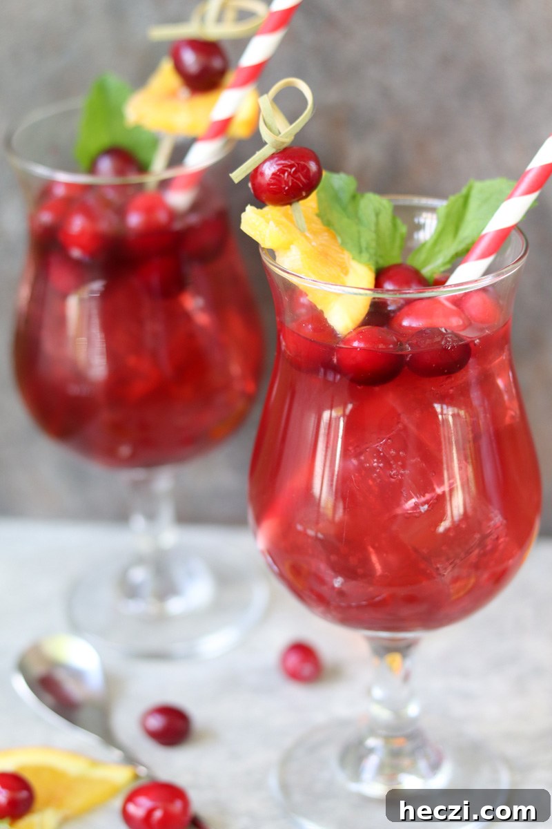 Cranberry Raspberry Sparkling Spinner Cocktails