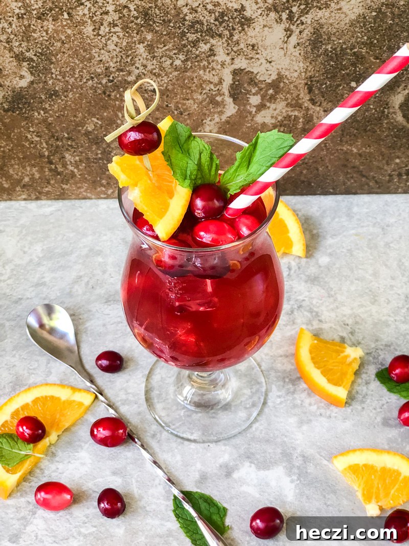 Cranberry Raspberry Sparkling Spinner Cocktails