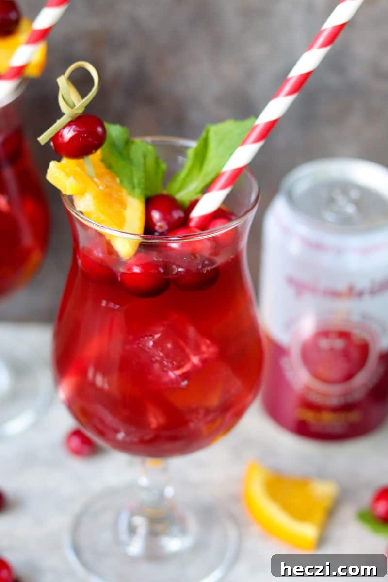 Cranberry Raspberry Sparkling Spinner Cocktails