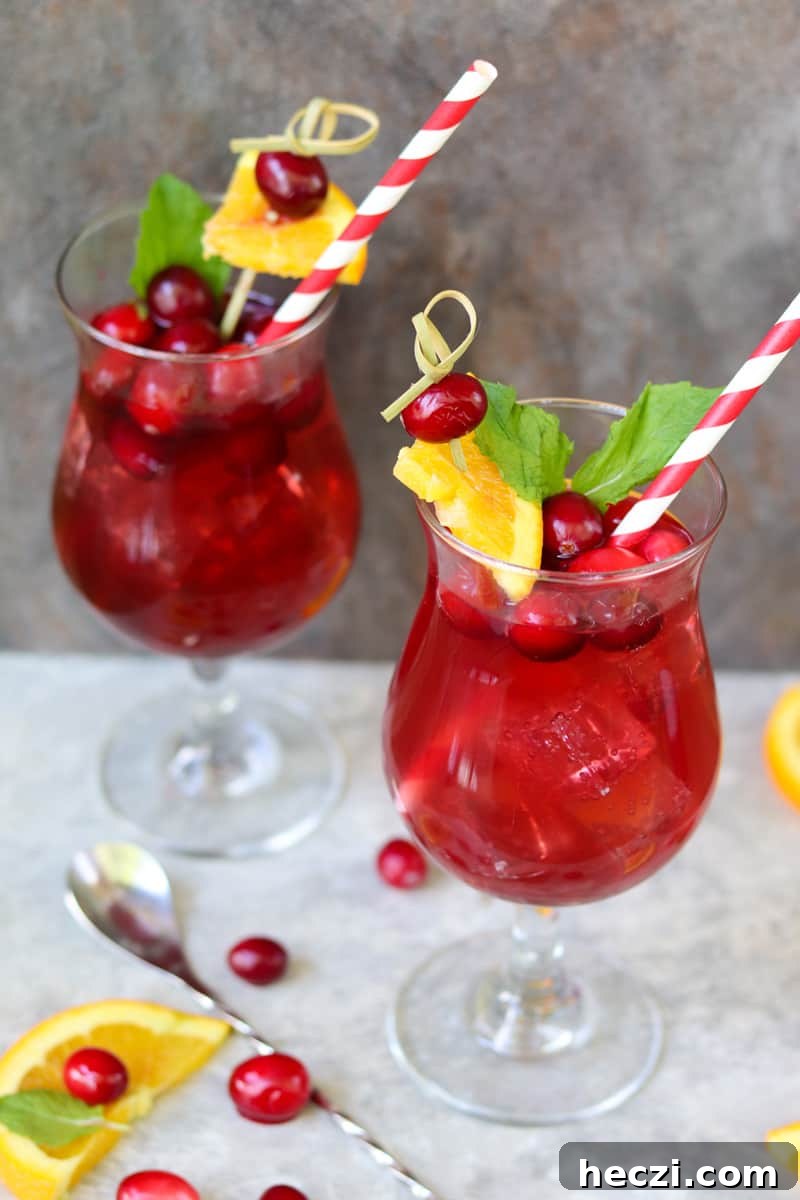 Cranberry Raspberry Sparkling Spinner Cocktails