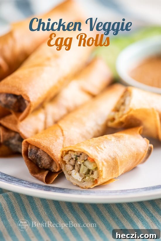 Easy Egg Rolls Recipe with Chicken, pork or beef filling @bestrecipebox Easy Egg Rolls Recipe with Chicken, pork or beef filling on a plate