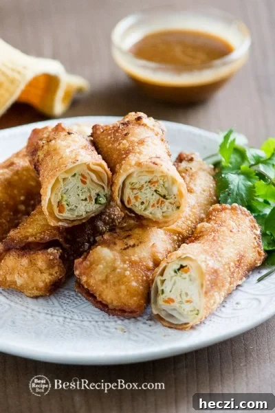 Easy Chicken Vegetable Egg Rolls Recipe that everyone will love |@bestrecipebox Easy Chicken Vegetable Egg Rolls Recipe on a plate