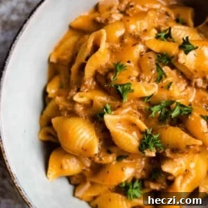 20+ Ground Beef Recipes You Can Make in the Instant Pot 15 img 64427 15