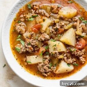 20+ Ground Beef Recipes You Can Make in the Instant Pot 16 img 64427 16