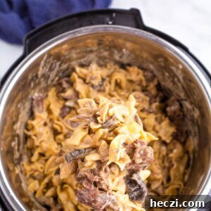 20+ Ground Beef Recipes You Can Make in the Instant Pot 4 img 64427 3