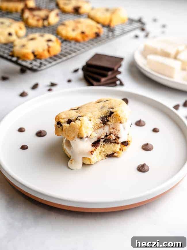 Low‑Carb Chocolate Chip S'mores Cookies 2 Low Carb Chocolate Chip Cookie S'Mores