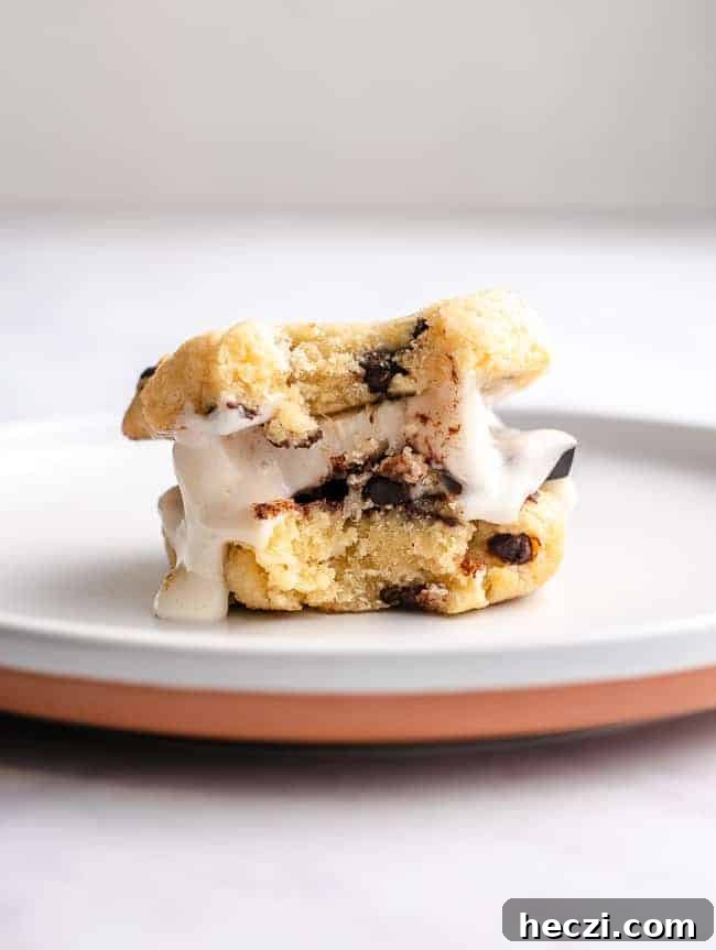 Low‑Carb Chocolate Chip S'mores Cookies 6 low carb chocolate chip cookies s'mores