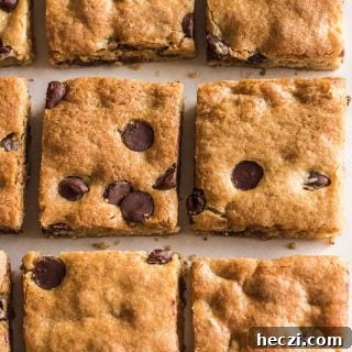 Chocolate Chip Blondies