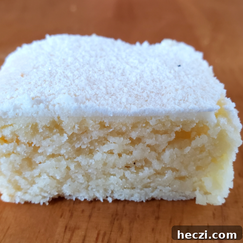 Quick Keto Lemon Bars