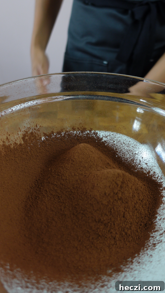 Decadent Chocolate Butter Mochi Recipe with Chewy Coconut Texture 2 img 7259 1