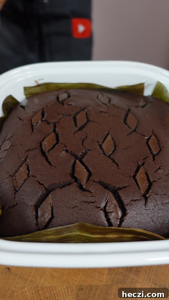 Decadent Chocolate Butter Mochi Recipe with Chewy Coconut Texture 8 img 7259 7