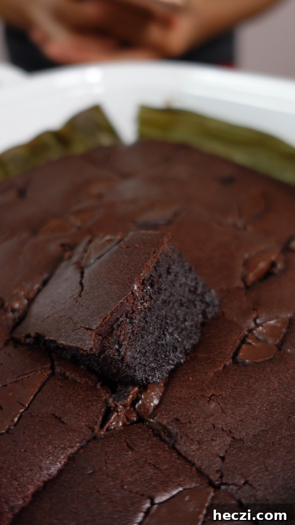 Decadent Chocolate Butter Mochi Recipe with Chewy Coconut Texture 9 img 7259 8